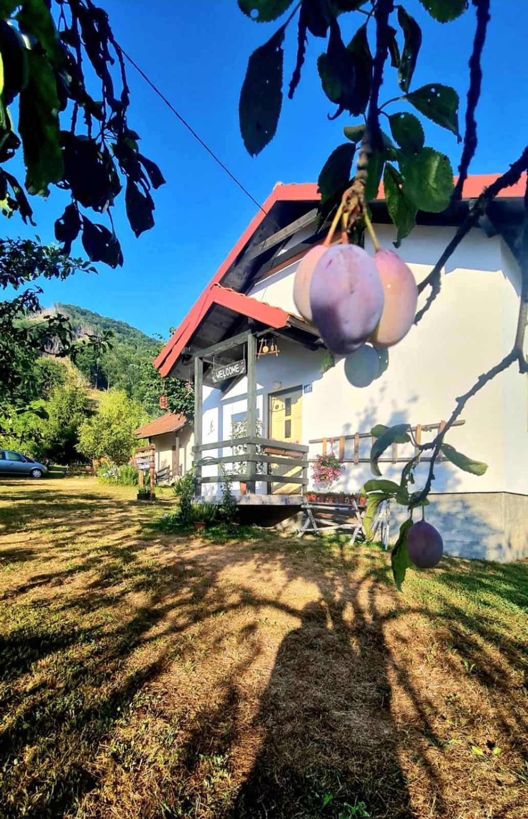 Kosta'S Romantic House Plav Esterno foto